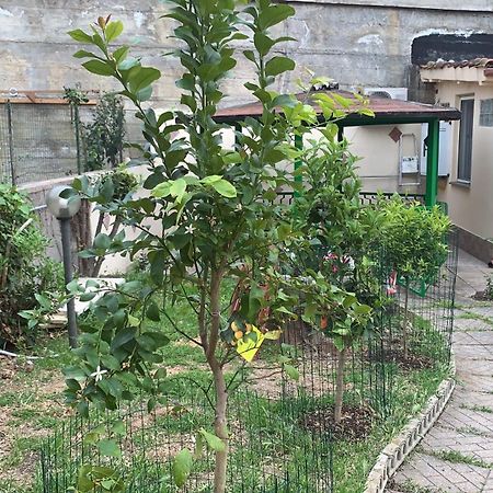 B&B Civitavecchia La Casetta Con Giardino Экстерьер фото
